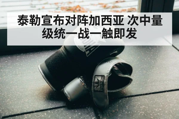 boxing gloves