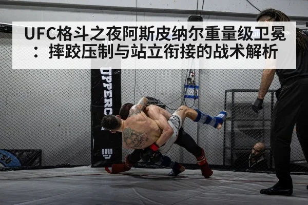 UFC格斗之夜阿斯皮纳尔重量级卫冕：摔跤压制与站立衔接的战术解析